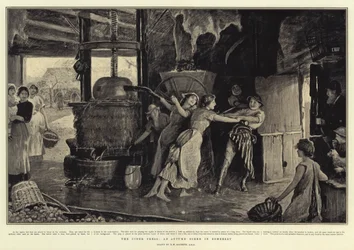 Cider Press, jesienna scena w Somerset